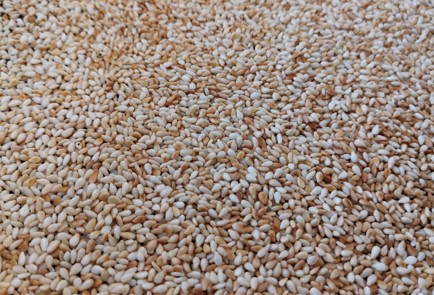 Фото шага рецепта Яичница с обжаренным кунжутом 174731 шаг 2  