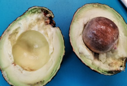 Фото шага рецепта Яичный рулет с кетой и авокадо 151274 шаг 7  