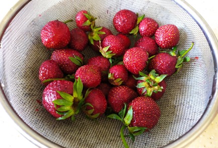 Фото шага рецепта Йогуртовое мороженое с клубникой и бананом 189397 шаг 1  