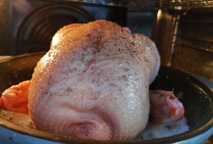 Фото шага рецепта Запеченная хрустящая курица 191413 шаг 7