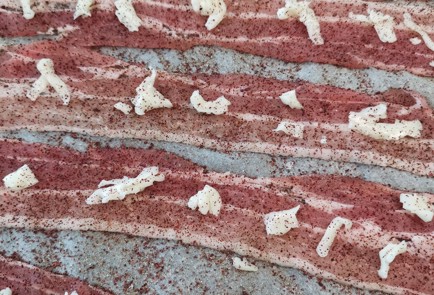 Фото шага рецепта Запеченный бекон с сыром и базиликом 152669 шаг 5  