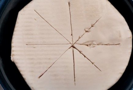 Фото шага рецепта Запеченный камамбер с клюквой и пармезаном 153033 шаг 1  