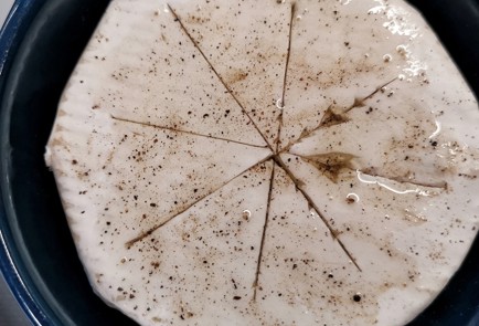 Фото шага рецепта Запеченный камамбер с клюквой и пармезаном 153033 шаг 3  