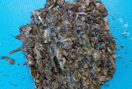 Фото шага рецепта Запеченный камамбер со щавелем и базиликом 152761 шаг 3  