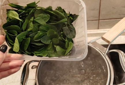 Фото шага рецепта Запеченный лосось с соусом из кокосового молока и шпината 175762 шаг 8