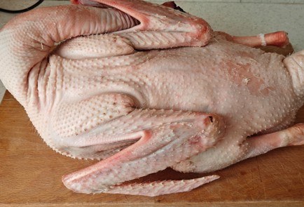 Фото шага рецепта Запеченный гусь с апельсинами и яблоками 191212 шаг 1