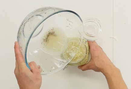 Фото шага рецепта Квашеная капуста зауэркраут 93980 шаг 8  