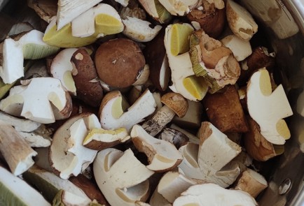 Фото шага рецепта Жареха с лесными грибами 174560 шаг 4  