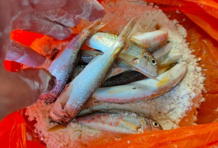 Фото шага рецепта Жареная барабуля 189426 шаг 9  