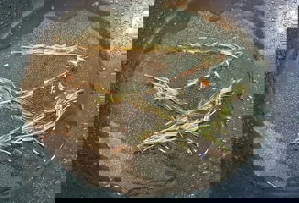 Фото шага рецепта Жареная утка с гарниром из цветной капусты 151124 шаг 10  