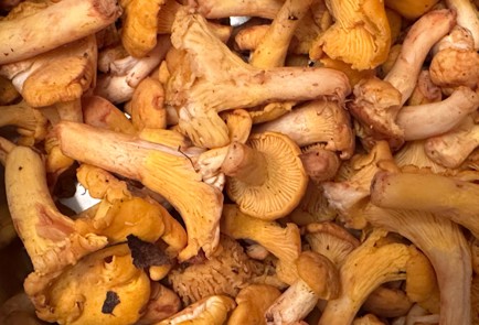 Фото шага рецепта Жареные лисички с чесноком 174361 шаг 1  