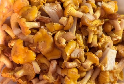 Фото шага рецепта Жареные лисички с чесноком 174361 шаг 2  