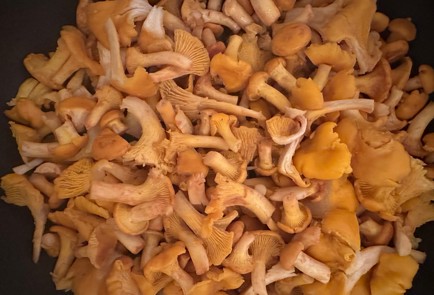 Фото шага рецепта Жареные лисички с чесноком 174361 шаг 3  