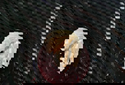 Фото шага рецепта Жареный адыгейский сыр в чесночном масле 151120 шаг 3