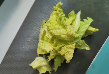 Фото шага рецепта Жареный спрингролл 188418 шаг 1  