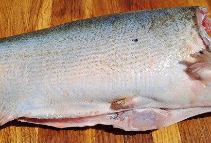 Фото шага рецепта Жареный толстолобик с луком 186792 шаг 4