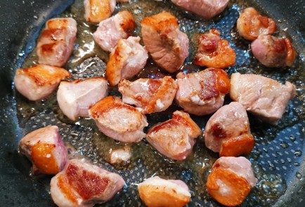 Фото шага рецепта Жаркое из утки с грибами 173413 шаг 5