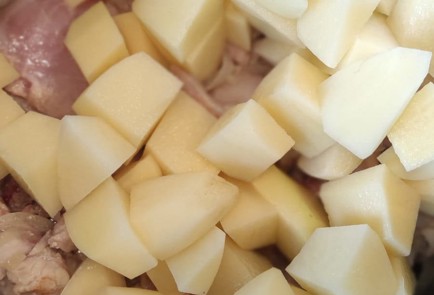 Фото шага рецепта Жаркое с курицей и картофелем 173498 шаг 9