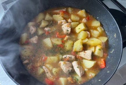 Фото шага рецепта Жаркое с курицей 189810 шаг 9