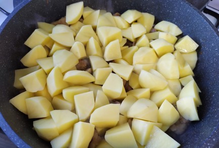 Фото шага рецепта Жаркое со свининой и грибами 191204 шаг 7  