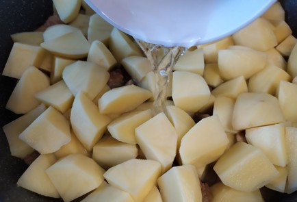 Фото шага рецепта Жаркое со свининой и грибами 191204 шаг 8  