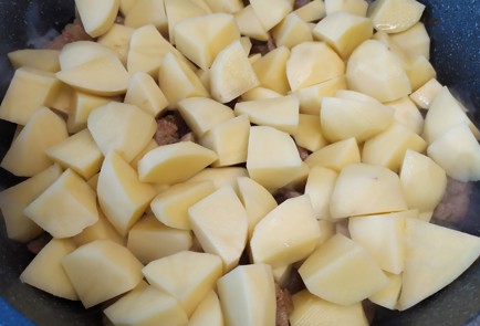 Фото шага рецепта Жаркое со свининой и грибами 191204 шаг 9  