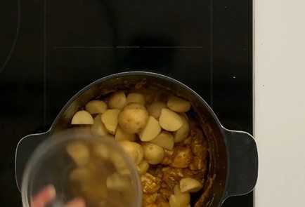 Фото шага рецепта Курица карри 137247 шаг 5  