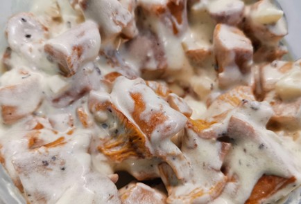 Фото шага рецепта Жюльен из лисичек 174724 шаг 10  