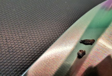 Фото шага рецепта Зимний мятный чай 140036 шаг 12  