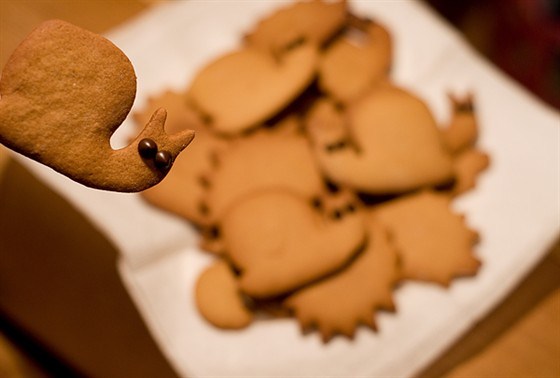 Фото рецепт Имбирное печенье с корицей