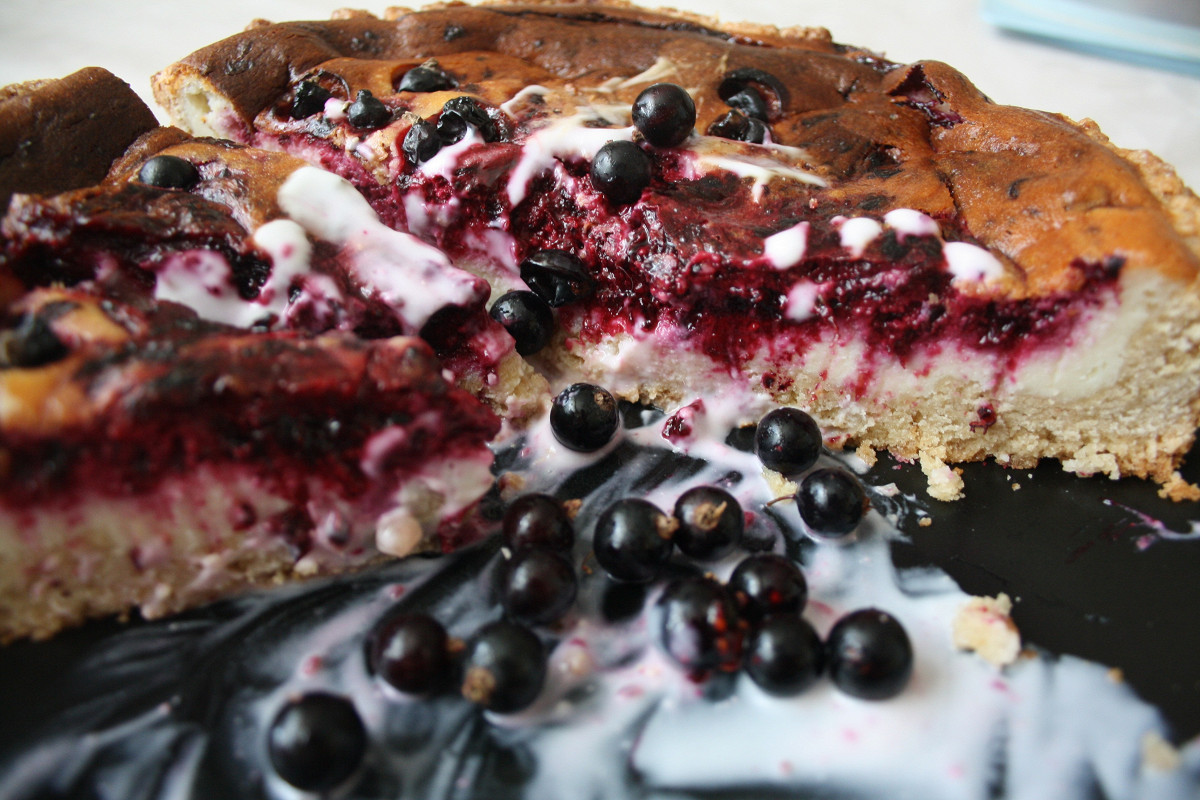 Фото рецепт Творожный пирог с черной смородиной