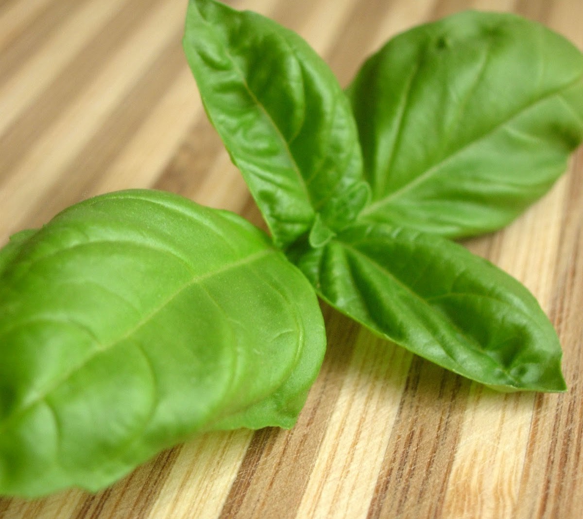 Фото рецепт Свежий базиликовый лимонад