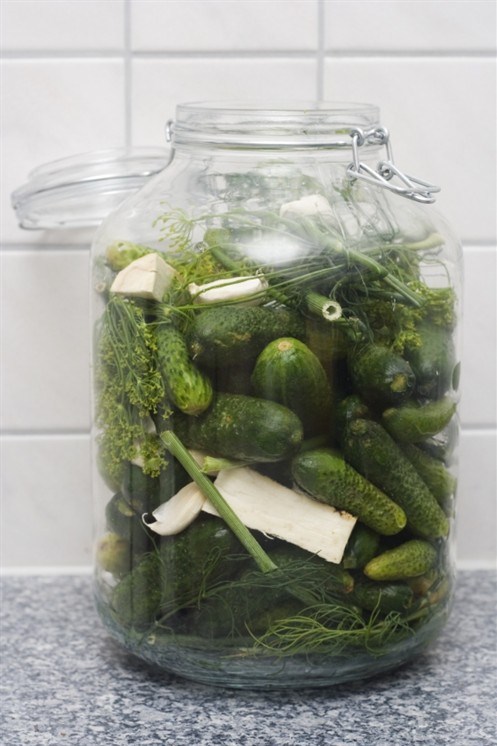 Фото рецепт Малосольные огурцы с укропом