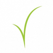 Рецепты из Twins Garden