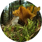 Изображение материала