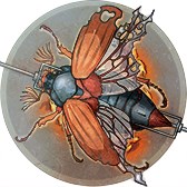 Изображение материала