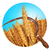 Изображение материала