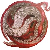 Изображение материала