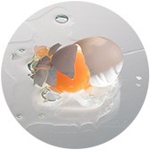 Изображение материала