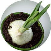 Изображение материала