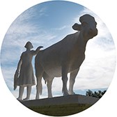 Изображение материала