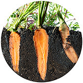 Изображение материала