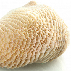 Изображение материала