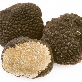 Изображение материала