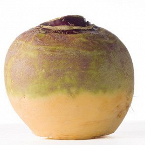 Изображение материала