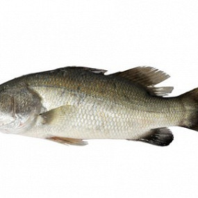 Изображение материала