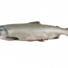 Изображение материала