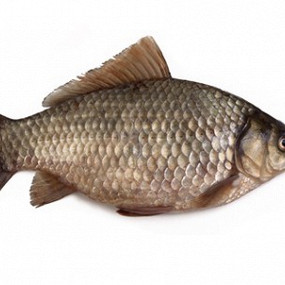 Изображение материала