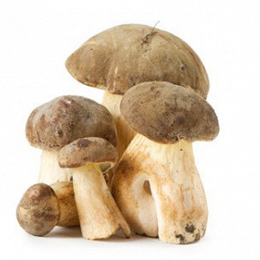 Изображение материала