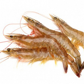 Изображение материала